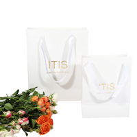 Luxury Paper Bags Packaging Wholesale Factory